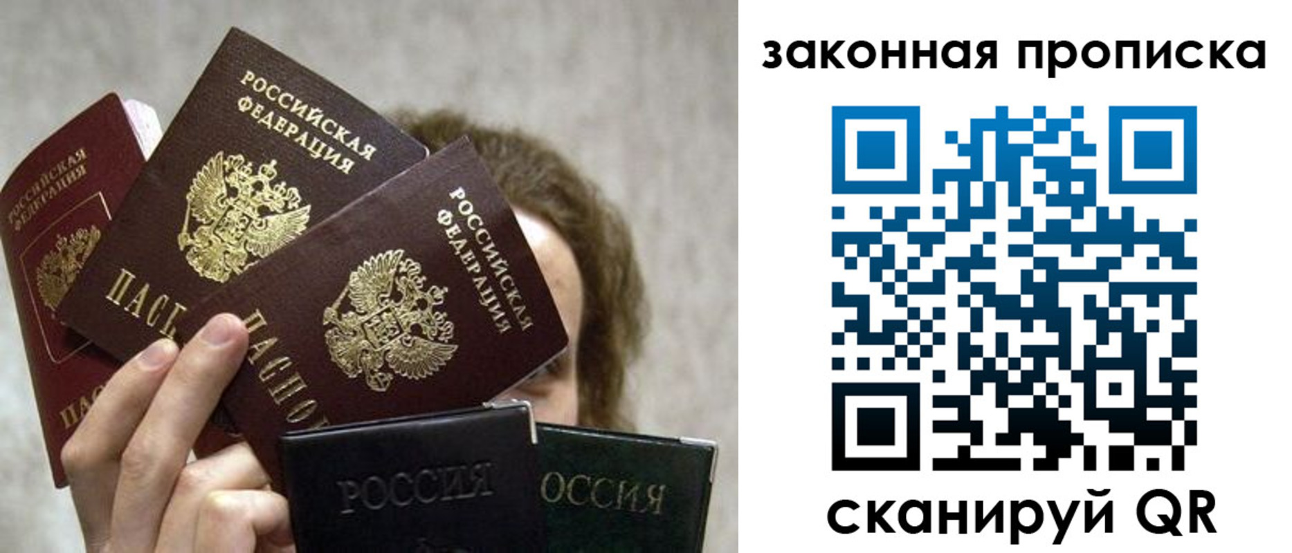 прописка законно в Курске
